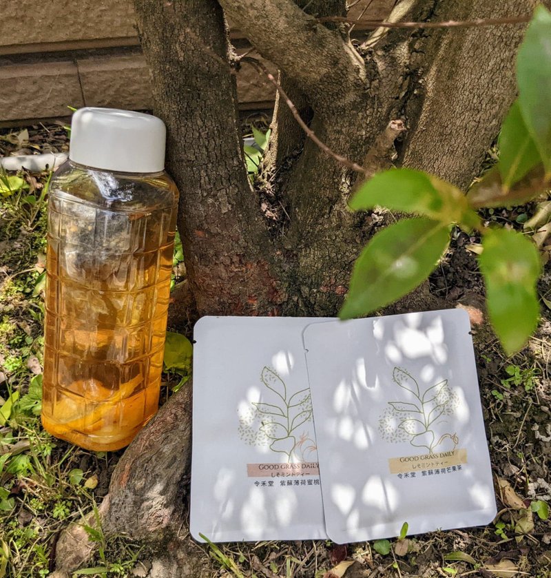 紫蘇薄荷果乾水, 夏日補水 提升保護力 - 茶葉/茶包/水果茶 - 其他材質 綠色