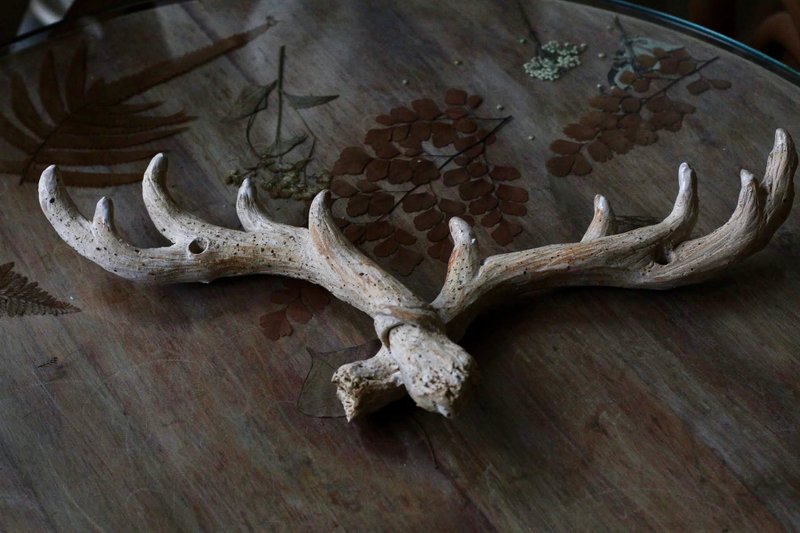 Hand-kneaded imitation deer antler ceramic wall hanging/wall decoration - Items for Display - Pottery White