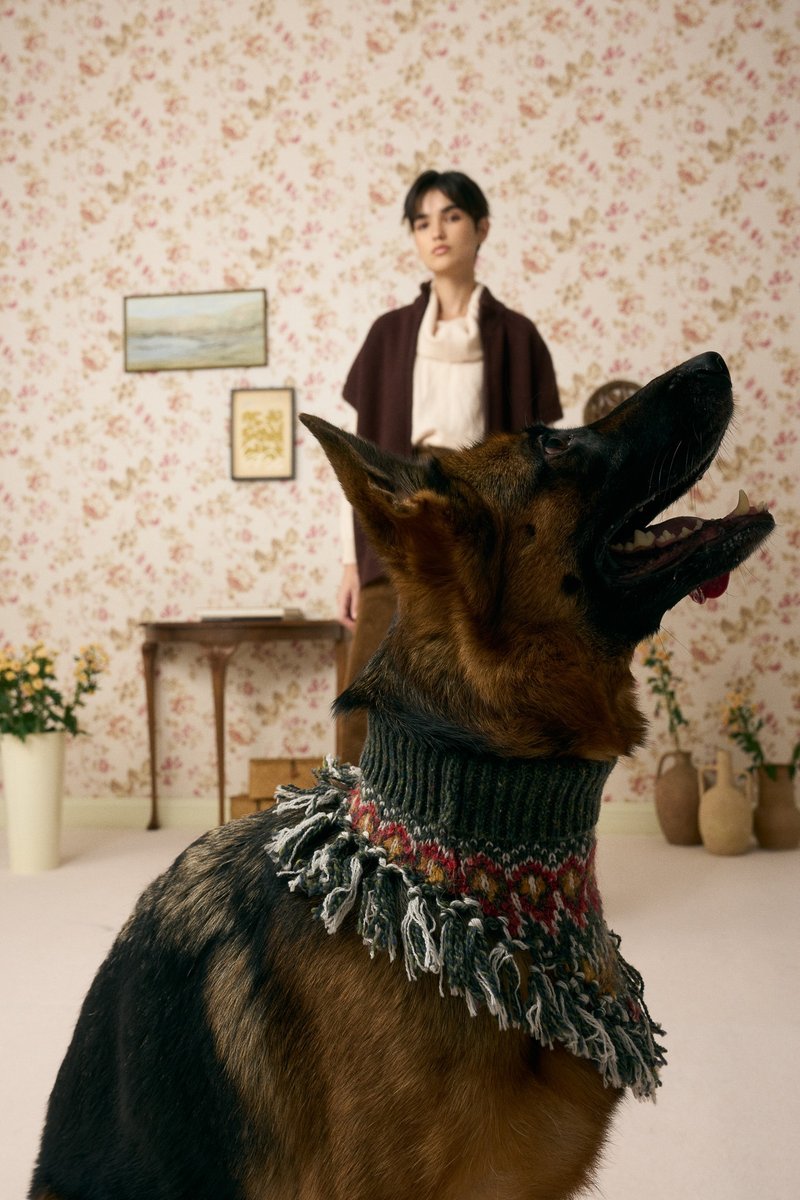 MULTI LAB - 515 ペット用ネックウォーマー - 洋服・帽子 - ウール グリーン