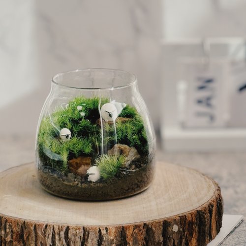 淘器花藝 TC Floral 【新竹自取】小苔羊出沒中 苔蘚缸.生態缸.造景