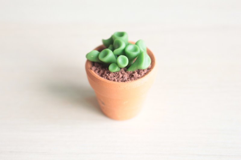 Cassava flowers - Shrek simulation of multi-meat clay potted plants - Plants - Clay Green