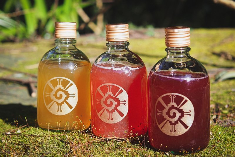 【好命山泉康普茶】風味系列 - 茶葉/茶包/水果茶 - 玻璃 多色