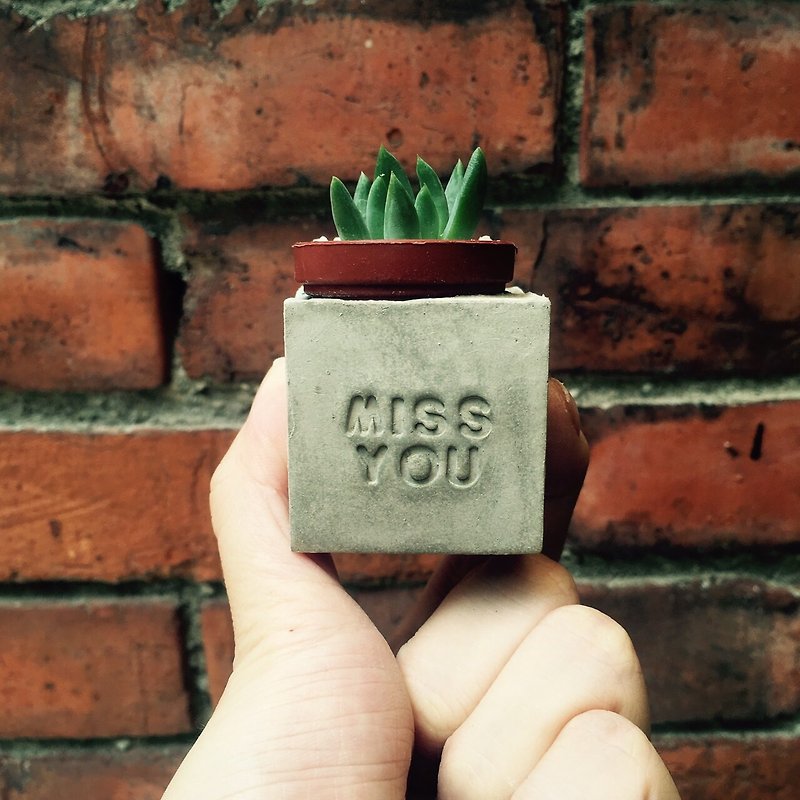 Miss you~! Succulent Magnet Potted Plant - ตกแต่งต้นไม้ - ปูน สีเทา