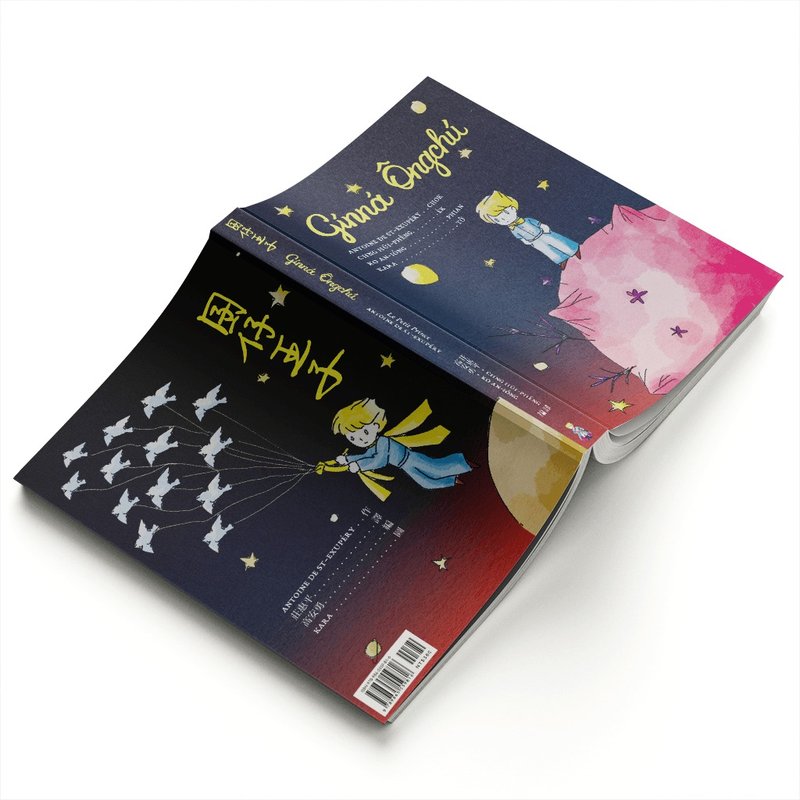 Kid's Prince• Gínná Ôngchú • Taiwanese Book• (Little Prince) - Indie Press - Paper Multicolor