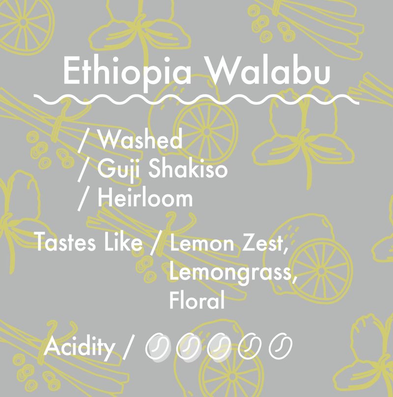 コーヒー豆/ハーフポンド エチオピアウォッシュド - コーヒー - 食材 