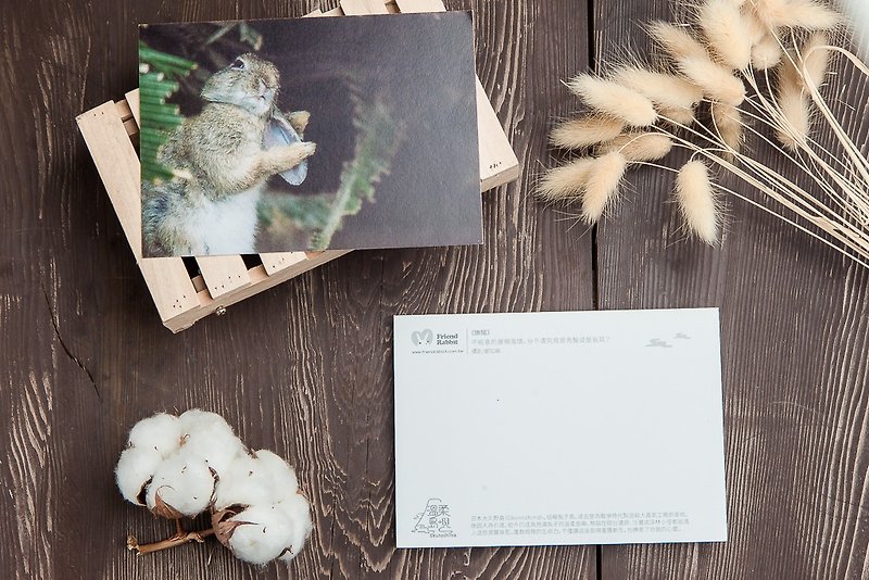 兔子攝影明信片- 嫵媚 - 心意卡/卡片 - 紙 黑色