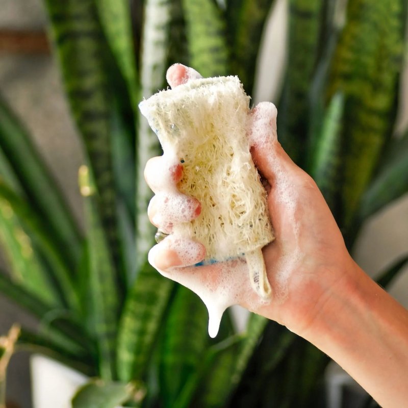 Superbee Natural Dishwashing Loofah Sponge - อื่นๆ - พืช/ดอกไม้ 