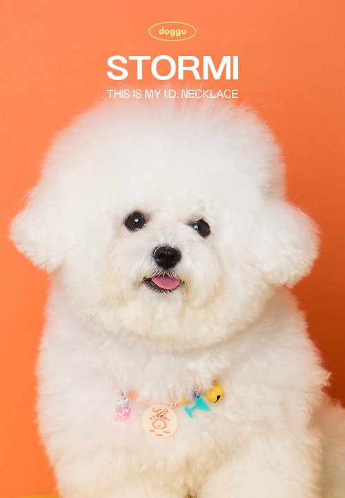 doggu pets 客製化手工寵物名牌項圈 - 鈴鐺 + 項圈 (含畫像 + 電話)