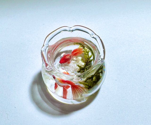 受注制作 硝子の金魚鉢で泳ぐ金魚 - ショップ 池波屋｜日本の