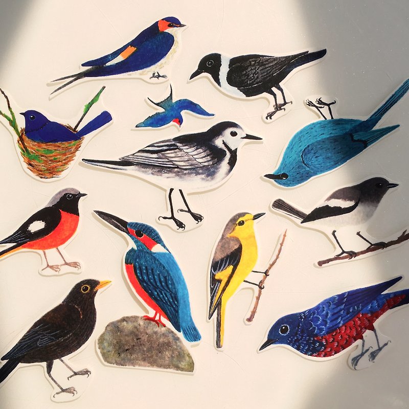 Hong Kong wild bird illustrations transparent stickers - Stickers - Plastic Multicolor