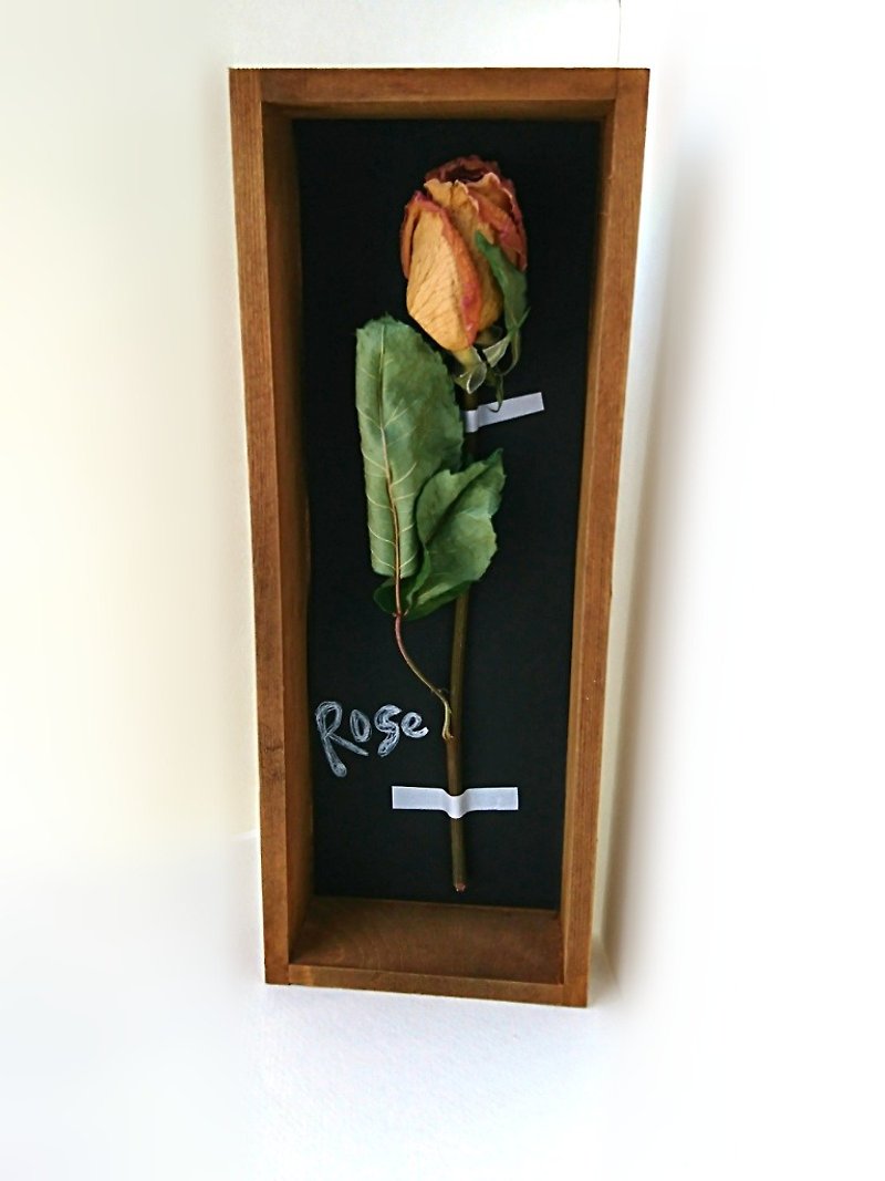 Plant specimen box dry flower (rose version.) - Wall Décor - Wood Red