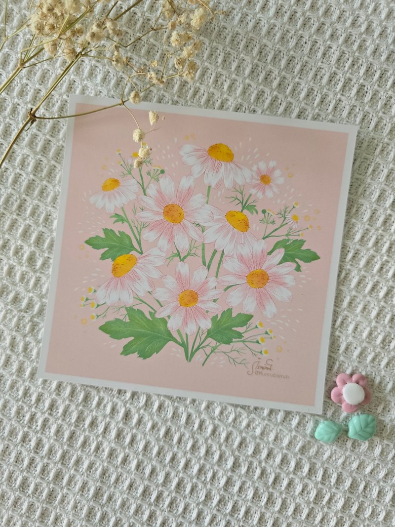 Daisies postcard. - 插畫/繪畫/寫字 - 紙 粉紅色