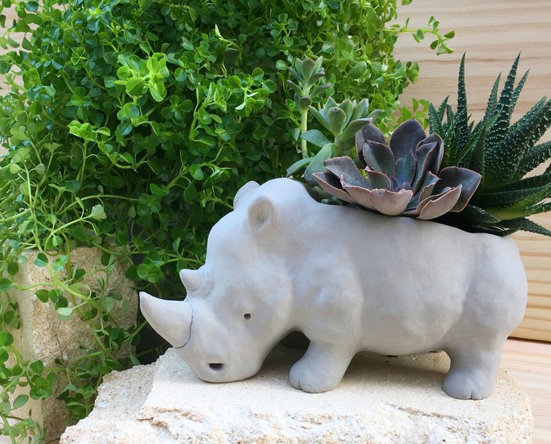 [Please wait for customization] Rhino drinks water from a Cement basin in Africa and exchanges gifts with Christmas gift boxes and flowers - Plants - Cement Gray