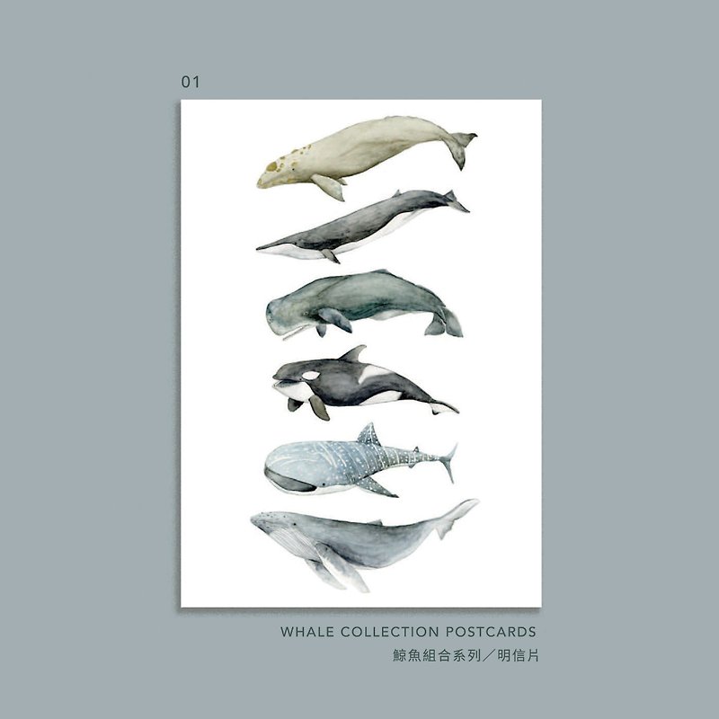 Whale / Hand-painted postcards (a set of 7*) - การ์ด/โปสการ์ด - กระดาษ 