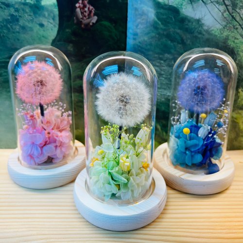 Just Believe Florist 畢業禮物 永生花蒲公英玻璃罩 客製化刻字小木牌