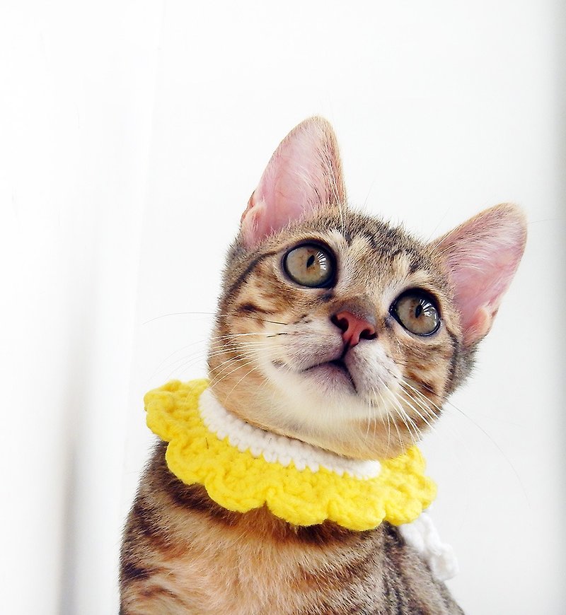 Cat and dog pet collar scarf (petals) - Collars & Leashes - Other Materials 