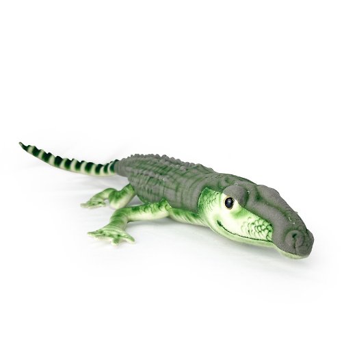 Hansa Creation 擬真動物 授權經銷 Hansa 6707-菲律賓鱷魚63公分長
