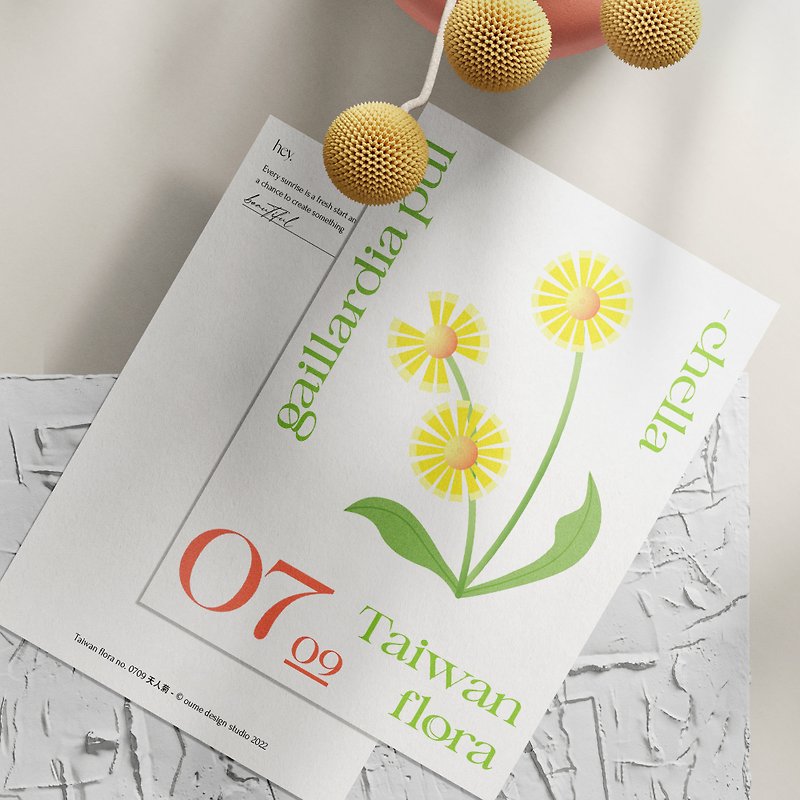 Flower and Calendar No.0709 Gaizania postcard - Cards & Postcards - Paper Yellow