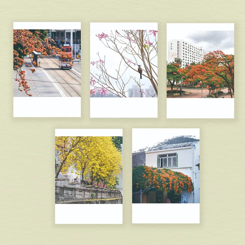 【Hana Time】Postcard - การ์ด/โปสการ์ด - กระดาษ 