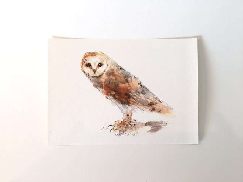 Birds Postcard ‧0138 Owl - Cards & Postcards - Paper 