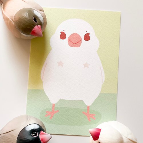 HELLO BIRDSDAY 星星胸貼變態文鳥 卡片/明信片