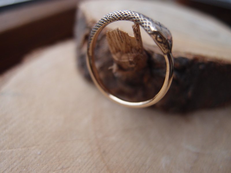 Ouroboros Snake Bronze Band Ring Custom Size - 戒指 - 銅/黃銅 金色