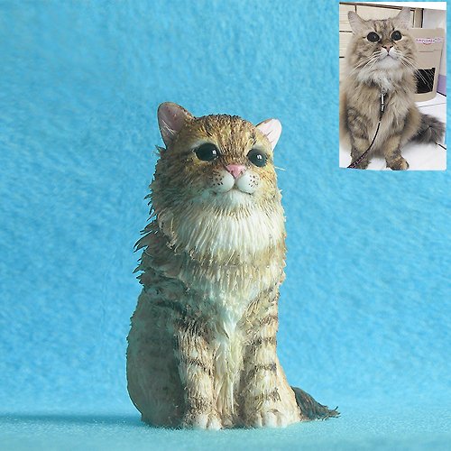 寵物記憶 【客製】 金吉拉混種貓