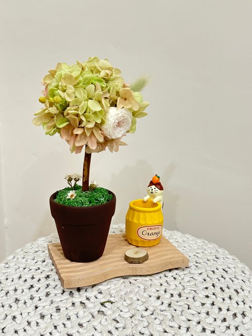 Miau Flowers 喵喵花室 永生繡球花樹 筆筒 擴香木 開幕禮物 辦公室小物 交換禮物 聖誕禮