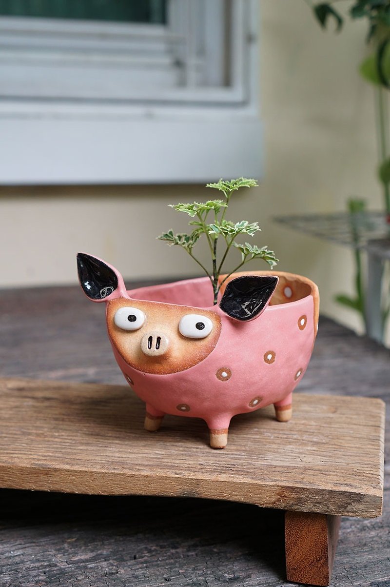 Pig pot , cactus , handmade ceramic , pottery - Pottery & Ceramics - Pottery Pink