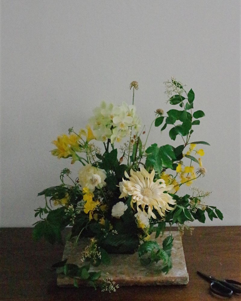 ・Orchid Garten・蘭花島  𝟎𝟏.香檸【客製化禮物】 - 其他 - 植物．花 黃色