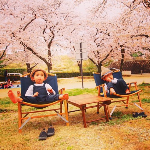 Kermit Chair Oak set (DIA JACKET) 2脚 Kermit Chair White Oak Kermit Chair (Navy Blue) Outdoor