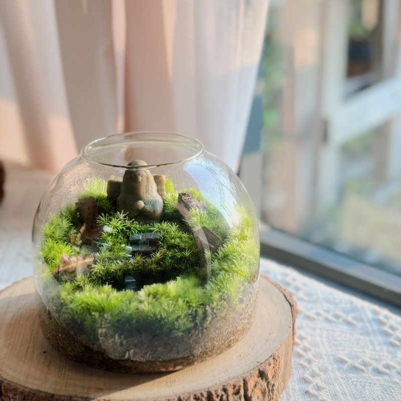 【新手友善】薩爾達-海利亞女神苔蘚缸.生態缸.微景觀.生態缸. - 盆栽/植栽 - 植物．花 綠色