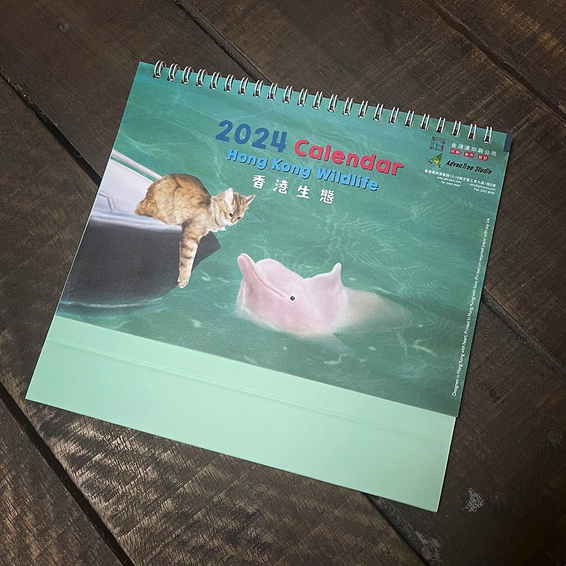 2024 香港生態 | 貓咪與野生動物 水彩風 插畫月曆 - 年曆/桌曆 - 紙 