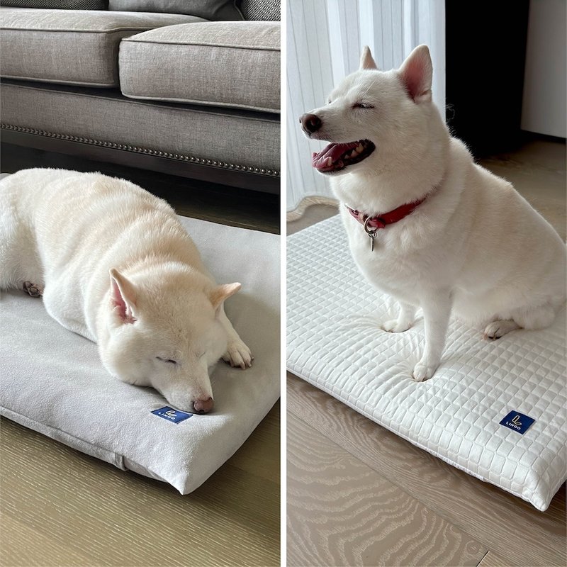 【高密度泡棉】寵物睡墊 - 寵物床 - 聚酯纖維 灰色