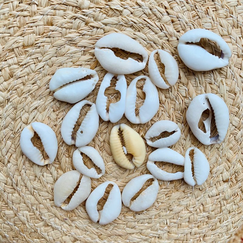 補運費商品 - 加購貝殼 - 非實體商品 - 其他材質 