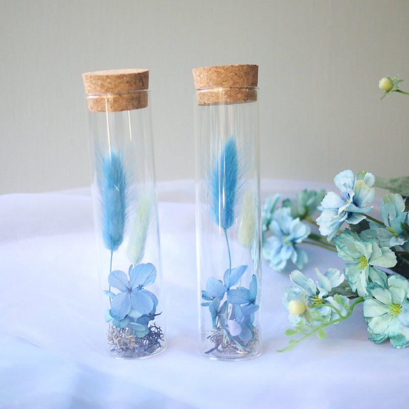 伊登花室 水藍兔尾草 玻璃試管 / 單個 - 乾燥花/永生花 - 植物．花 藍色
