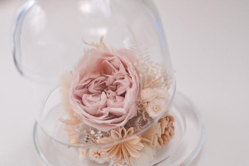 把最好的都給你 永生花系列作品 WARMTH - 乾燥花/永生花 - 玻璃 卡其色
