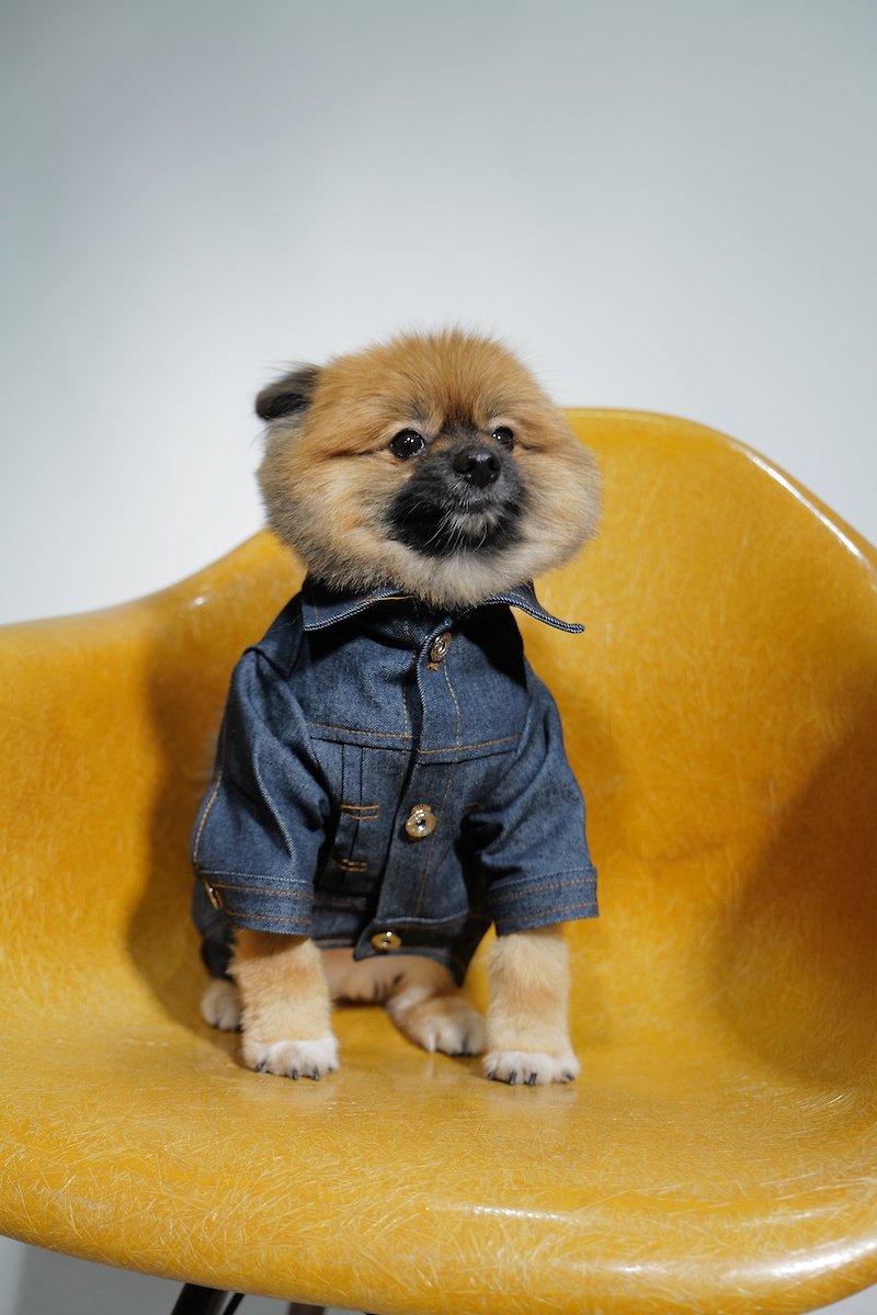 Chipasu Type-P Pet Natural Denim Jacket - Clothing & Accessories - Cotton & Hemp Blue