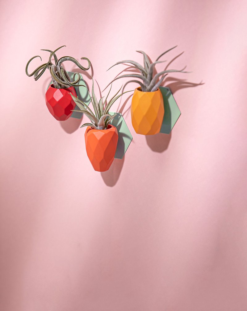 SNAP FROOTS 水果西拿 磁吸原木植物盆 彩色 - 花瓶/陶器 - 木頭 橘色