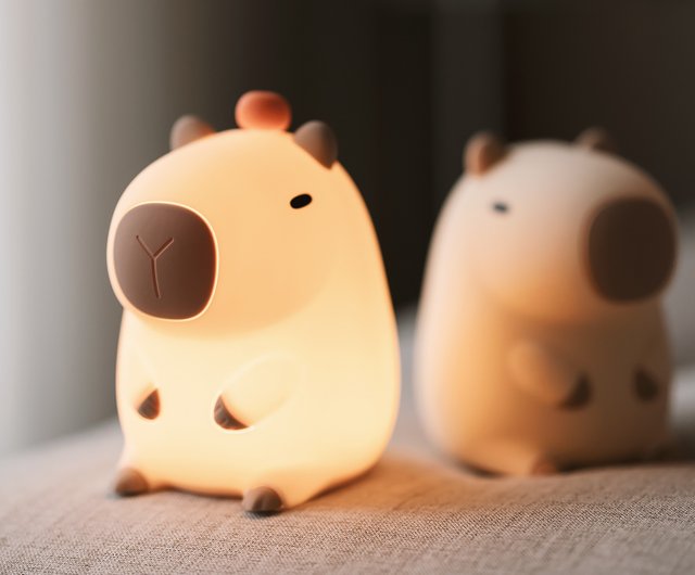 The cutest Internet celebrity creature, Chill Kapi slowly KAPISAN creative night  light