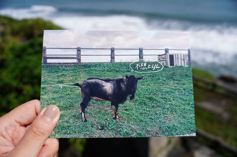[Handwritten Travel Postcard] Lvdao Sheep-don't want to go to work - Cards & Postcards - Paper 