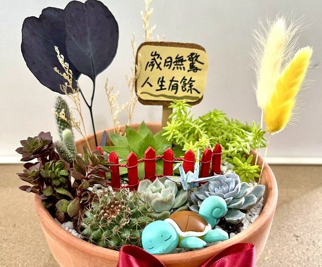多肉植物⑤（お問合せはこちらからお願いします♪） 多肉植物⑤（お問合せはこちらからお願いします