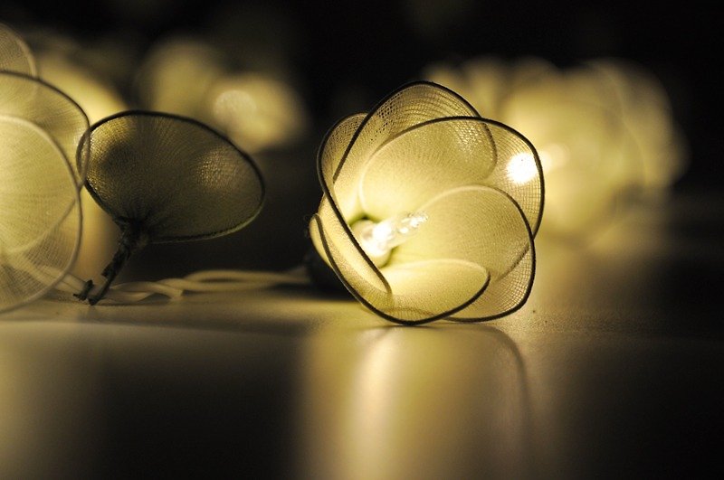 20 Green Flower String Lights for Home Decoration Wedding Party Bedroom Patio and Decoration - 燈具/燈飾 - 其他材質 