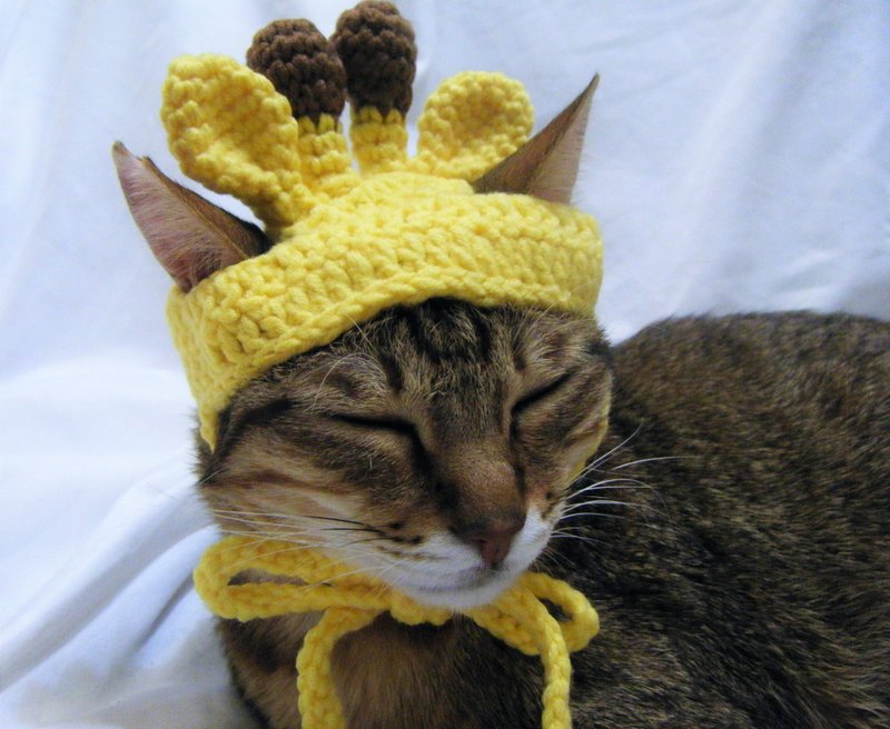 Wool knitted cat and dog hat pet hat giraffe - Clothing & Accessories - Other Materials Yellow