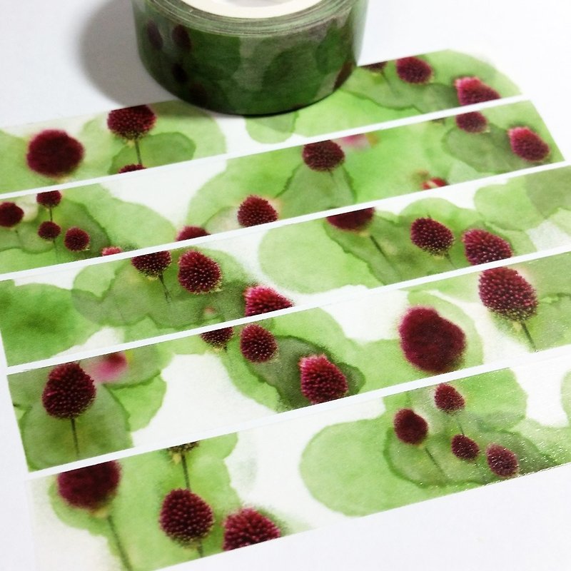 Sample Washi Tape Watercolor Alliums - มาสกิ้งเทป - กระดาษ 