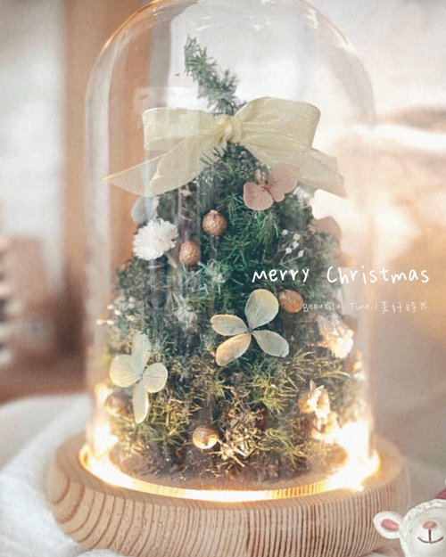 Beautiful Time. / 美好時光 聖誕樹、永生聖誕樹、交換禮物、聖誕節