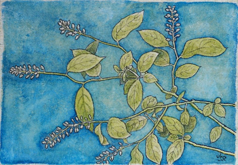 Itea virginica (original painting)　こばのずいな（原画） - Posters - Cotton & Hemp Blue