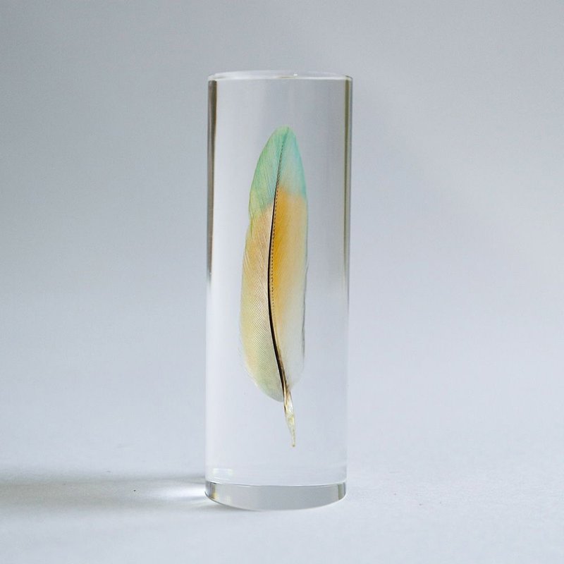 鳥類羽毛標本 桃面牡丹鸚鵡 (綠橘) - 擺飾/家飾品 - 羽絨 透明