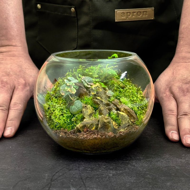 新品上市 - 戀火山丘 / 手工微景觀生態盆 - 盆栽/植栽 - 植物．花 