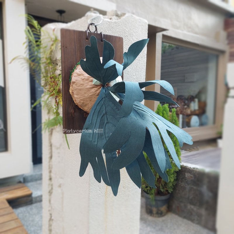 植態寫真-深綠鹿角蕨壁掛 - 擺飾/家飾品 - 棉．麻 綠色
